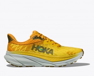 Chaussure Trail Running HOKA Challenger 7 Homme Orange Jaune | 4657KQRCI