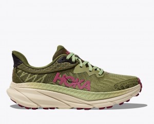 Chaussure Trail Running HOKA Challenger 7 Femme Vert Olive Vert | 1609VSMZT