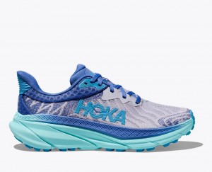 Chaussure Trail Running HOKA Challenger 7 Femme Bleu Grise | 1870WHQSM