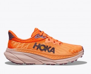 Chaussure Trail Running HOKA Challenger 7 Femme Orange | 7930BTQCE