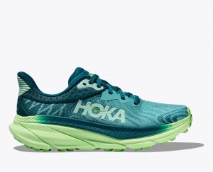 Chaussure Trail Running HOKA Challenger 7 Femme Vert | 6018ZSHCX