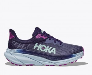 Chaussure Trail Running HOKA Challenger 7 Femme Violette | 0875FMRVG