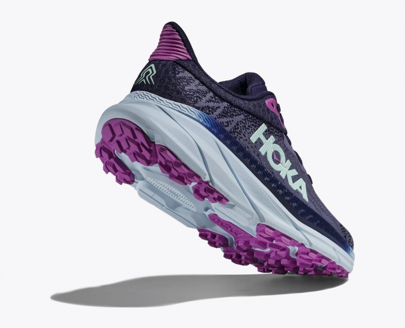 Chaussure Trail Running HOKA Challenger 7 Femme Violette | 0875FMRVG