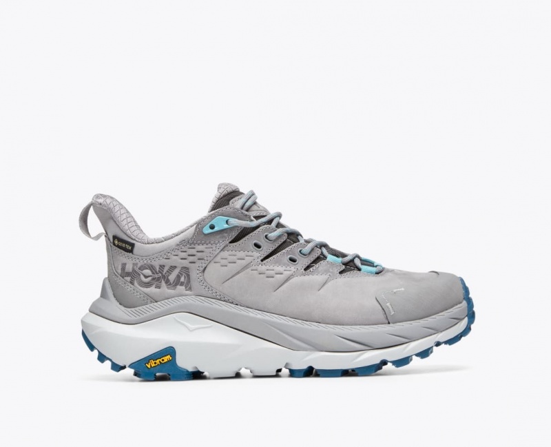 Chaussure de Randonnée HOKA Kaha 2 Low GTX Femme Grise | 3507YRDNL